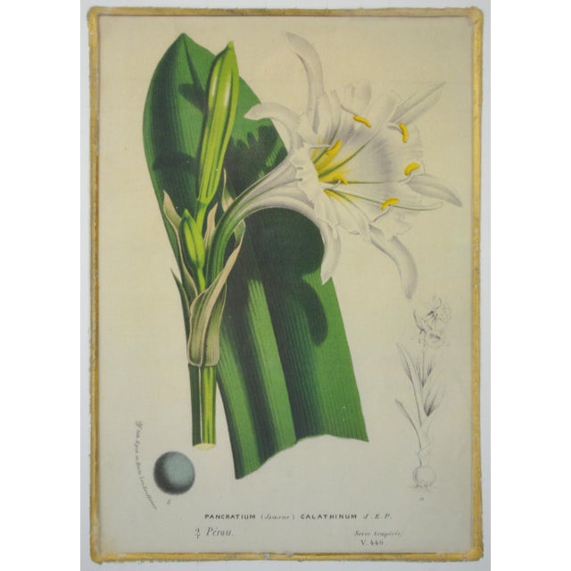 Fine Pair of Trowbridge Giltwood Frames W Floral Lithographs For Sale In New York - Image 6 of 7