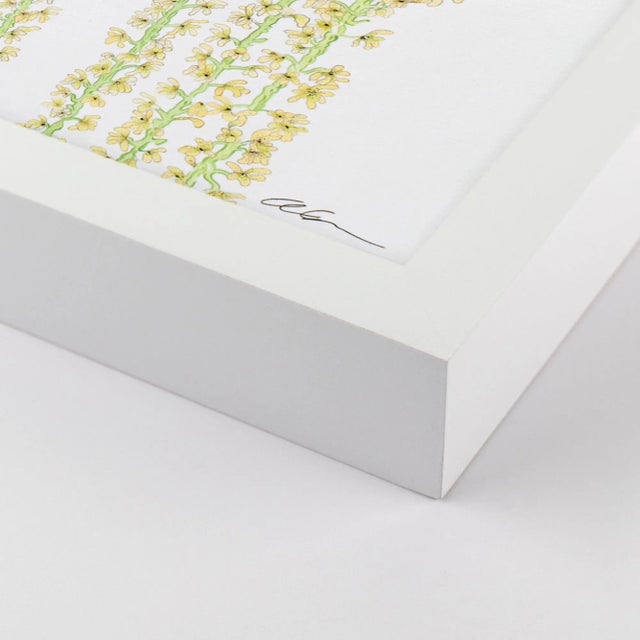 DESCRIPTION: Toucan Play at That Game by Allison Cosmos in White Framed Paper, Medium Art Print SPECIFICATIONS: Type:...