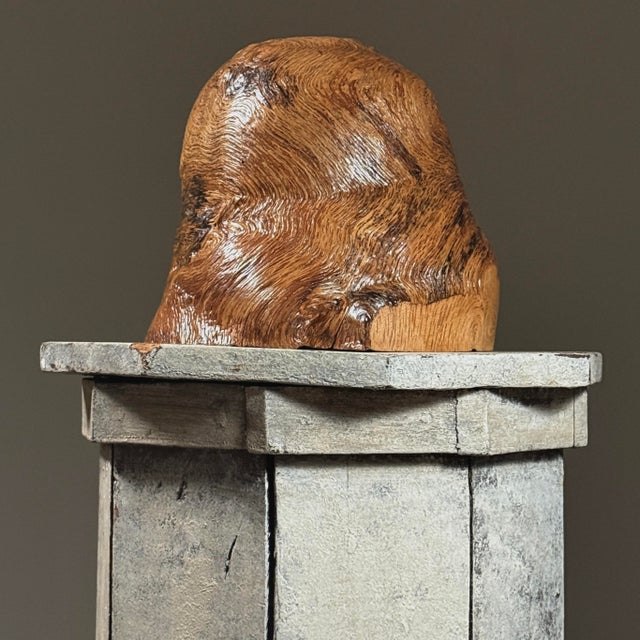 Vintage Organic Modern Burl Wood Sculpture. Half round sculpted Burl wood knot with a lacquered finish. Most likely a...