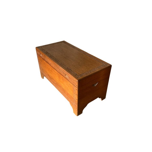 1950s Camphor Wood Blanket Chest, 1950 For Sale - Image 5 of 14