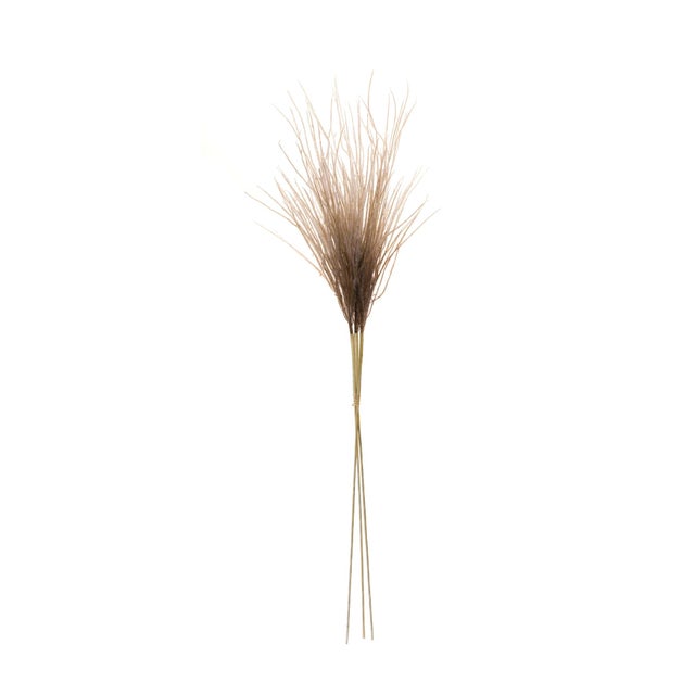 Bring nature's beauty into your home with the Grass Plume Bundles! These 41" faux stems feature elegant plumes in white...