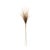 Bring nature's beauty into your home with the Grass Plume Bundles! These 41" faux stems feature elegant plumes in white...