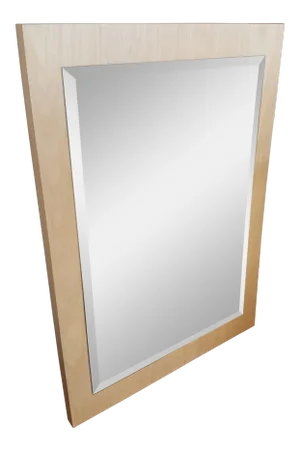 Contemporary Lane Furniture Wall Mirror
