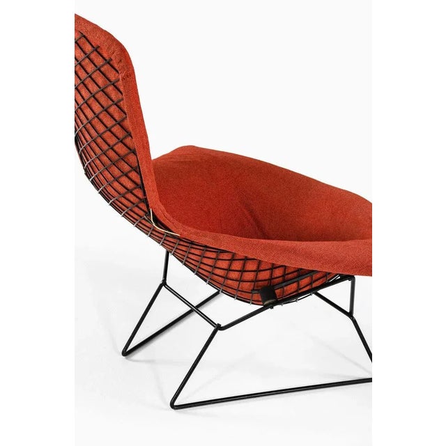 Easy Bird Chair in Black Lacquered Metal and Red Fabric attributed to Harry Bertoia, 1950s For Sale - Image 6 of 10