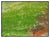 Abstract Expressionism 1980s Canopy of Green, Larry Horowitz For Sale - Image 3 of 3
