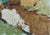 Original Spring Landscape Oil Painting, Ukrainian Impressionism, 1969 11-17 For Sale - Image 6 of 6