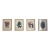 Saskia Onvlee Signed Linocuts, Set of 4, Framed - Todos Santos, 2017 For Sale