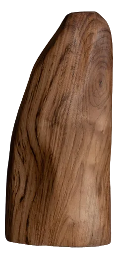 Relief Chestnut Vase 03 by Alice Lahana Studio
