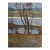 Original Oil Painting, Ukrainian Landscape, Pokatayeva N. (1970) 50-38,5 For Sale