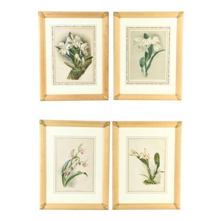 A Set of Four Large Framed Botanical Prints