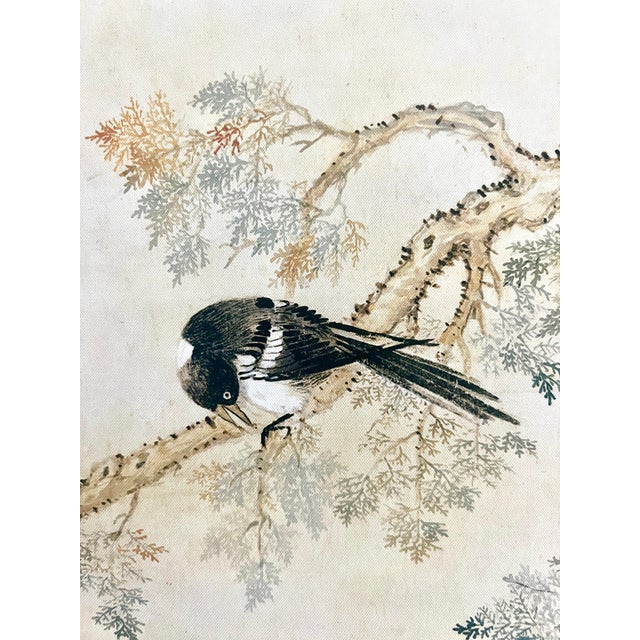 Magpies on the Cypress Tree - Chinese Scroll Painting With Yellow and White Chrysanthemums, After Zou Yigui For Sale In Tampa - Image 6 of 9