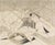 An abstract etching, titled Blood and Sand, by the American artist Daniel Philip Platt. This piece features a bull-like...