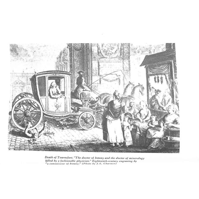 "The King's Garden" Book 1982 Duval, Marguerite For Sale - Image 9 of 10