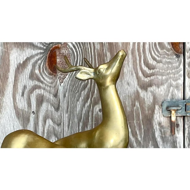 Vintage Regency Brass Deer - a Pair For Sale - Image 9 of 12