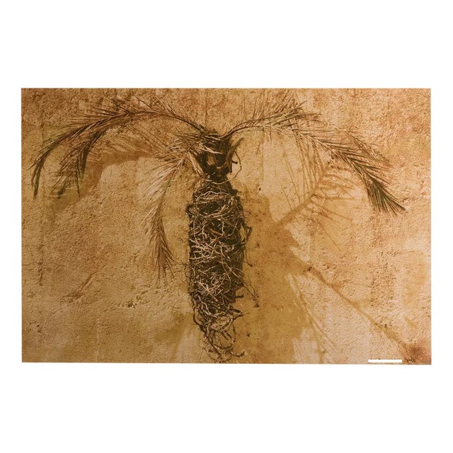 Ian Sanderson, Palm, 2012, Pigment Print For Sale