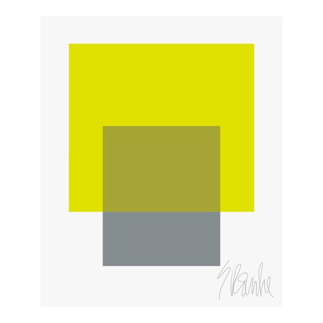 The Interaction of Lime Green and Gray Fine Art Print 20" X 24" by Liz Roache For Sale