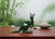 Vintage Canadian Nephrite Kangaroo Figurine, Hand-Carved Green Stone Sculpture, 1980s For Sale - Image 9 of 9