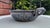 Dimensions: height to handles 6.7 cm, height to the rim of the bowl 6.2 cm, diameter 21.3 cm.