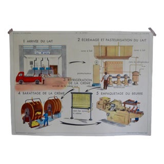 School Poster Depicting Dairy from Éditions Rossignol For Sale