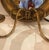 Pair of Mirrored and Giltwood Two Light Bullseye Sconces NYC, circa 1910 For Sale - Image 9 of 14