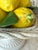Ceramic Italian Trompe l'Oeil Ceramic Lemon Basket For Sale - Image 7 of 8