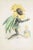 J. J. Grandville, Soleil, Les Fleurs Animées Vol. I, 1847, Lithograph For Sale