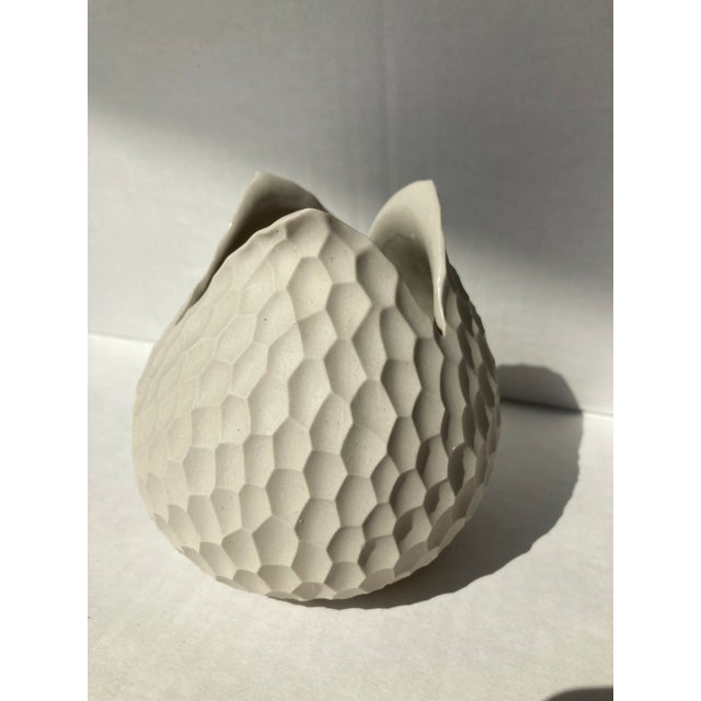 Purchased from Vivaterra.com, years ago. THE PRICE IS FOR BOTH THE VASES. The brand name is ASA SELECTION. THIS IS A...