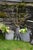 A bucket that has actually done some work. The patina on these French galvanized pieces is the real thing, earned over...