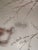 Silver Leaf Chinoiserie Hand-Painted White Plum Blossom Wall Panels (Set of 2) For Sale - Image 4 of 7