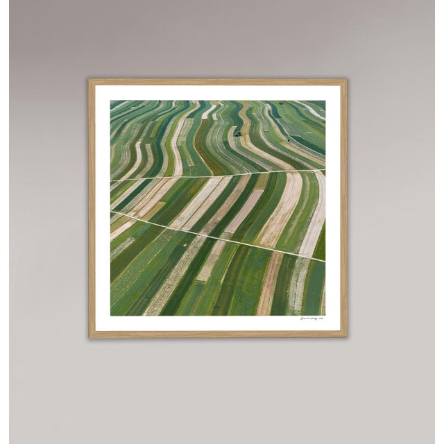 Contemporary "Stripes_of_Suloszowa_007" Contemporary Aerial View Limited Edition Photograph by Bernhard Lang For Sale - Image 3 of 9