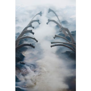 The Heart Is Missing by Jenya Chernoff | Giclée print on fine art paper depicting a foggy landscape with bones. For Sale