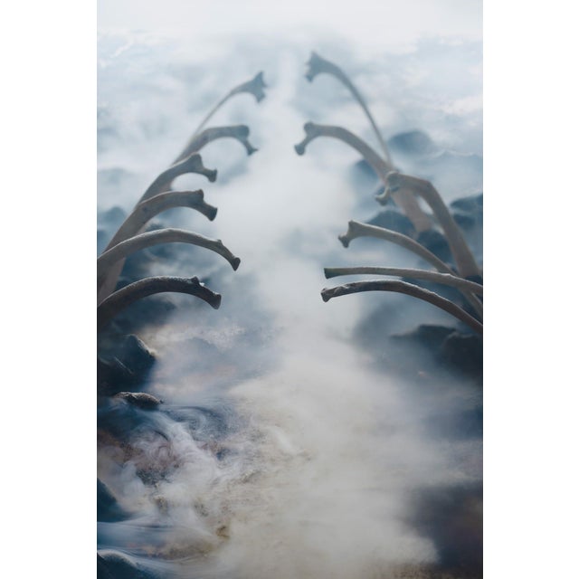 The Heart Is Missing by Jenya Chernoff | Giclée print on fine art paper depicting a foggy landscape with bones. For Sale