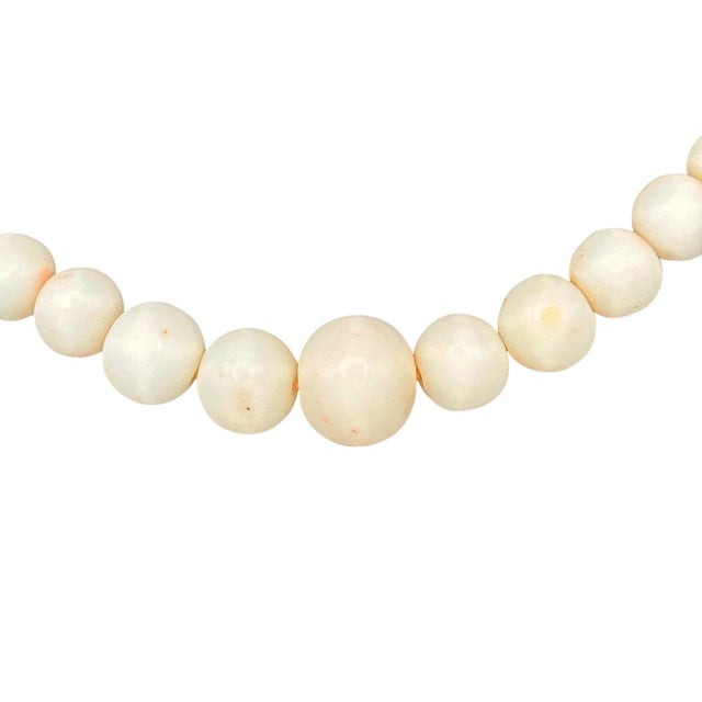 A unique, natural necklace crafted from graduated, round Angel Skin Coral beads. The strand transitions from small to a...