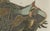 Antique South American Horned Frog, 1798 For Sale - Image 3 of 10
