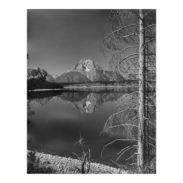 1975 Grand Teton National Park Ball and White Photograph by Don Ware For Sale