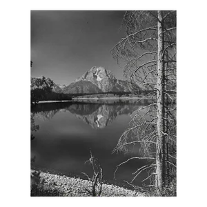 1975 Grand Teton National Park Ball and White Photograph by Don Ware