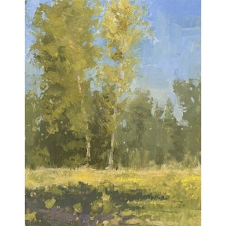Birch Meadow by Riley Doyle | Oil on Panel Landscape with birch trees and meadow grass. For Sale