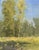 Birch Meadow by Riley Doyle | Oil on Panel Landscape with birch trees and meadow grass. For Sale