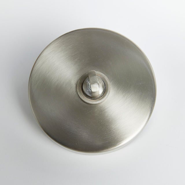 Kenneth Ludwig Chicago Capra Pendant For Sale - Image 4 of 4