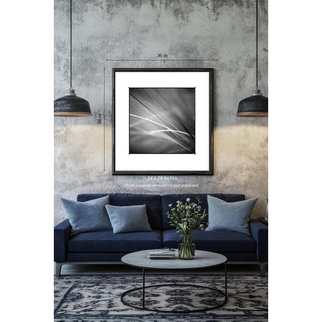 Paul Cooklin, Grass #I, Edition of 50 For Sale - Image 4 of 4