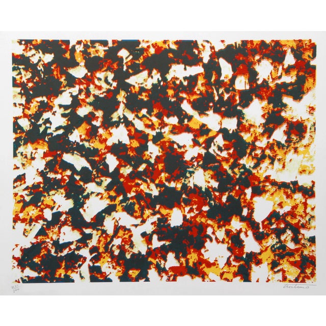 American Domenick Turturro, the Dream, Silkscreen For Sale - Image 3 of 3