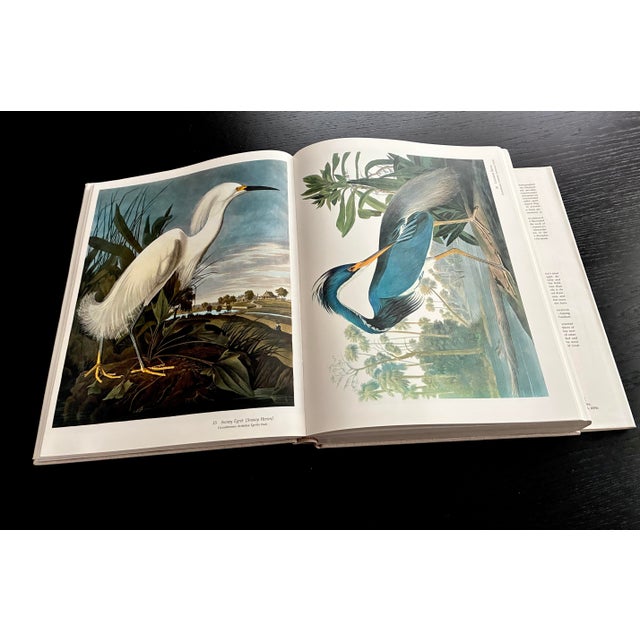 Monumental Audubon’s Birds of America “Baby Elephant Folio” Oversized Art Book in Slipcase For Sale - Image 4 of 8