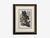 Victorian Style, Framed Butterfly Prints, Gilt, Painted Wood, Usa, 20th C. For Sale - Image 4 of 12