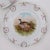 Rustic European Vintage Bavarian Pheasant Plates, Set of 3 For Sale - Image 3 of 7