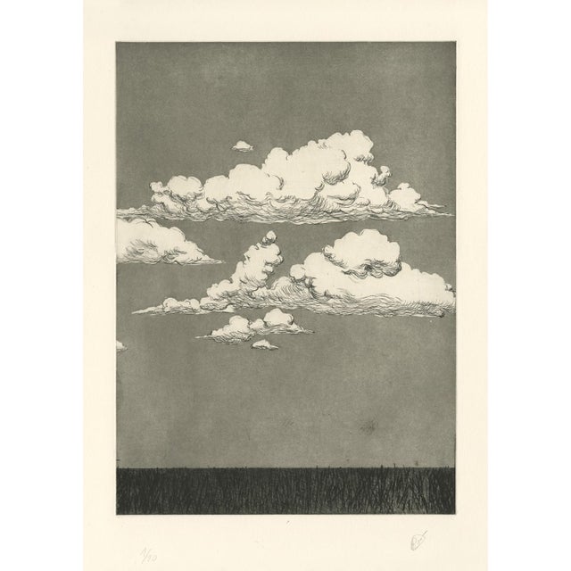 Pascal rabaté paysage dans le désordre, 2018 etching, aquatint, and dry tip on bfk rives paper edition of 20 copies,...