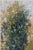 Vintage French Impressionist Art Print – Autumn Landscape by Camille Pissarro, 30" X 40" For Sale In Buffalo - Image 6 of 10