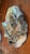 1970s Handmade Pottery Sculptured Face, Scary Folk Art For Sale - Image 5 of 6