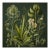 Dark Green Antique Botanical Garden Study No. 12 - Natural History Fine Art Print For Sale