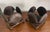 Contemporary Vintage Brutalist Cast Metal Shell Candle Holders – Sculptural Organic Modern, a Pair For Sale - Image 3 of 11
