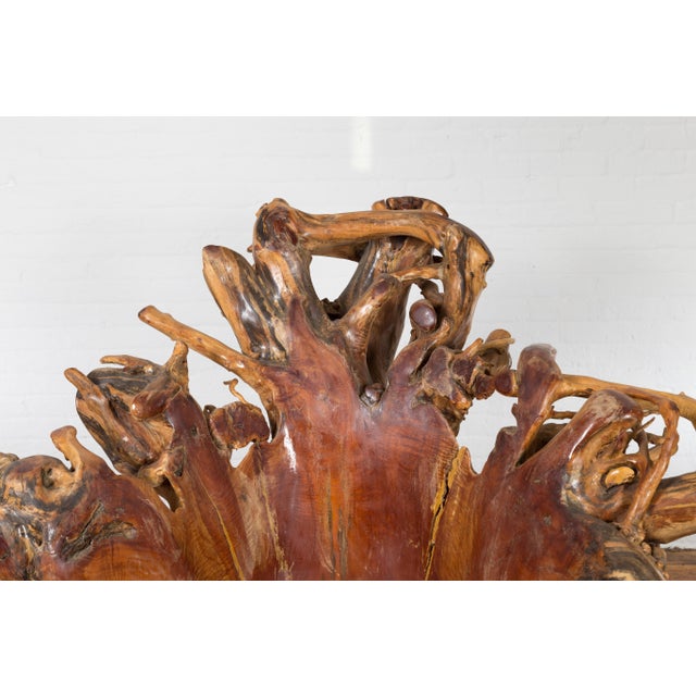 Rustic Vintage Chinese Hand Crafted Camphor Wood Root Chair with Light Varnish For Sale - Image 3 of 12